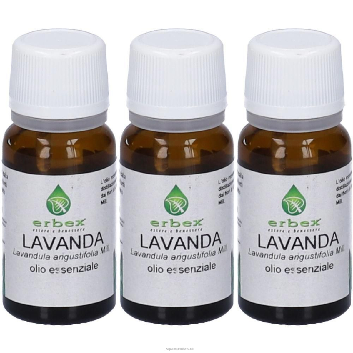 Cerca Offerte di lavanda olio essenziale 10 ml 3x10 ml e acquista online