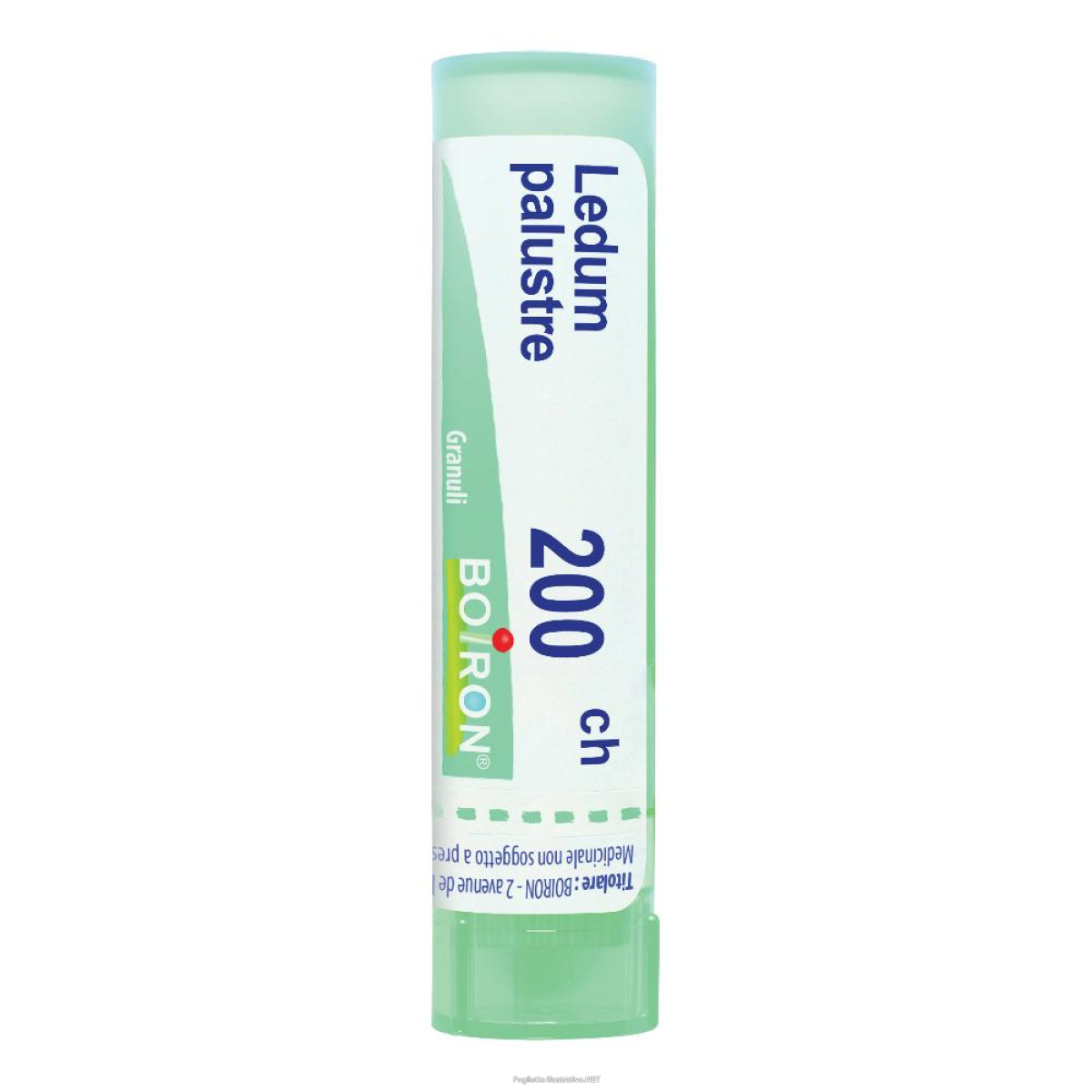 Cerca Offerte di ledum palustre boi*200ch80gr4g e acquista online