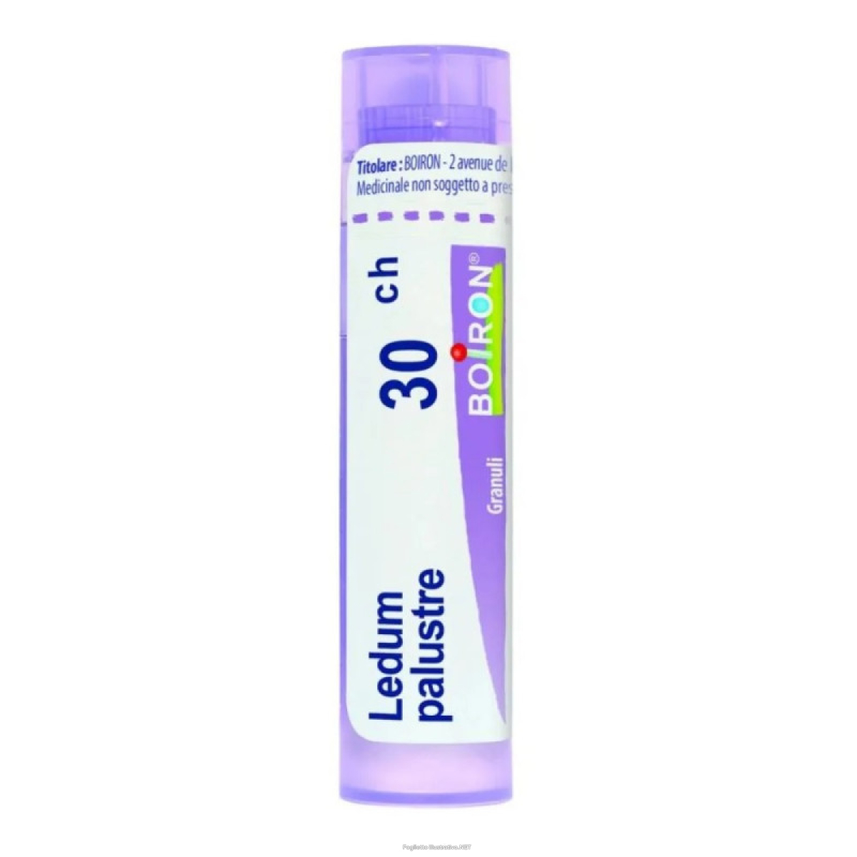 Cerca Offerte di ledum palustre (boiron)*80 granuli 30 ch contenitore multidose e acquista online
