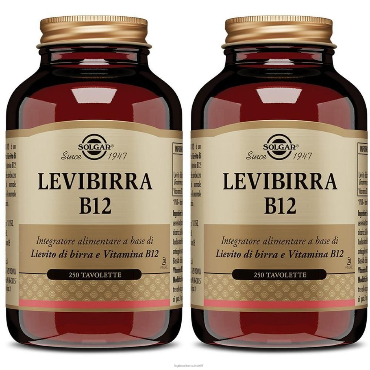 Cerca Offerte di levibirra b12 250 tavolette 2x135,6 g compresse e acquista online
