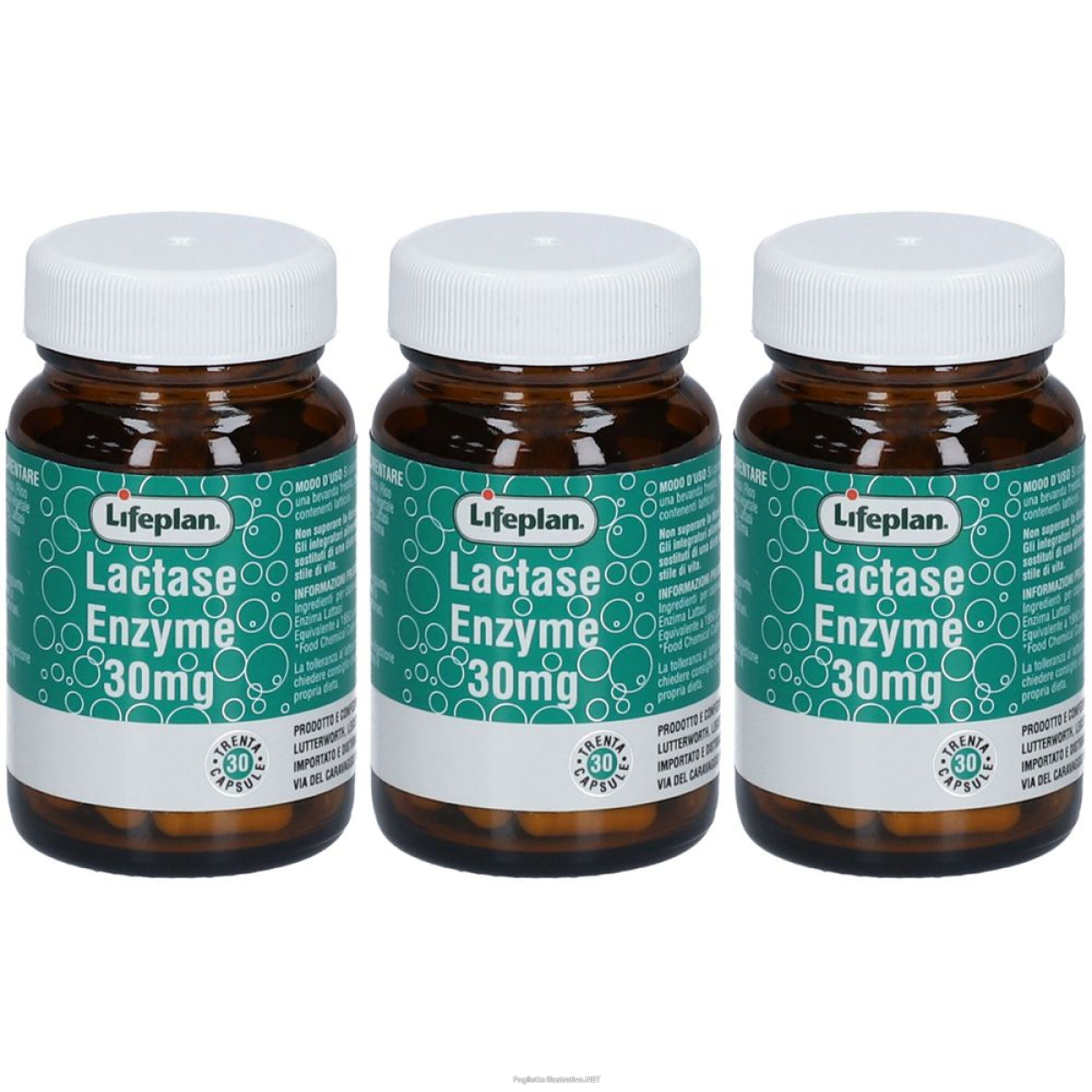 Cerca Offerte di lifeplan® lactase enzyme set da 3 3x1 pz capsule e acquista online