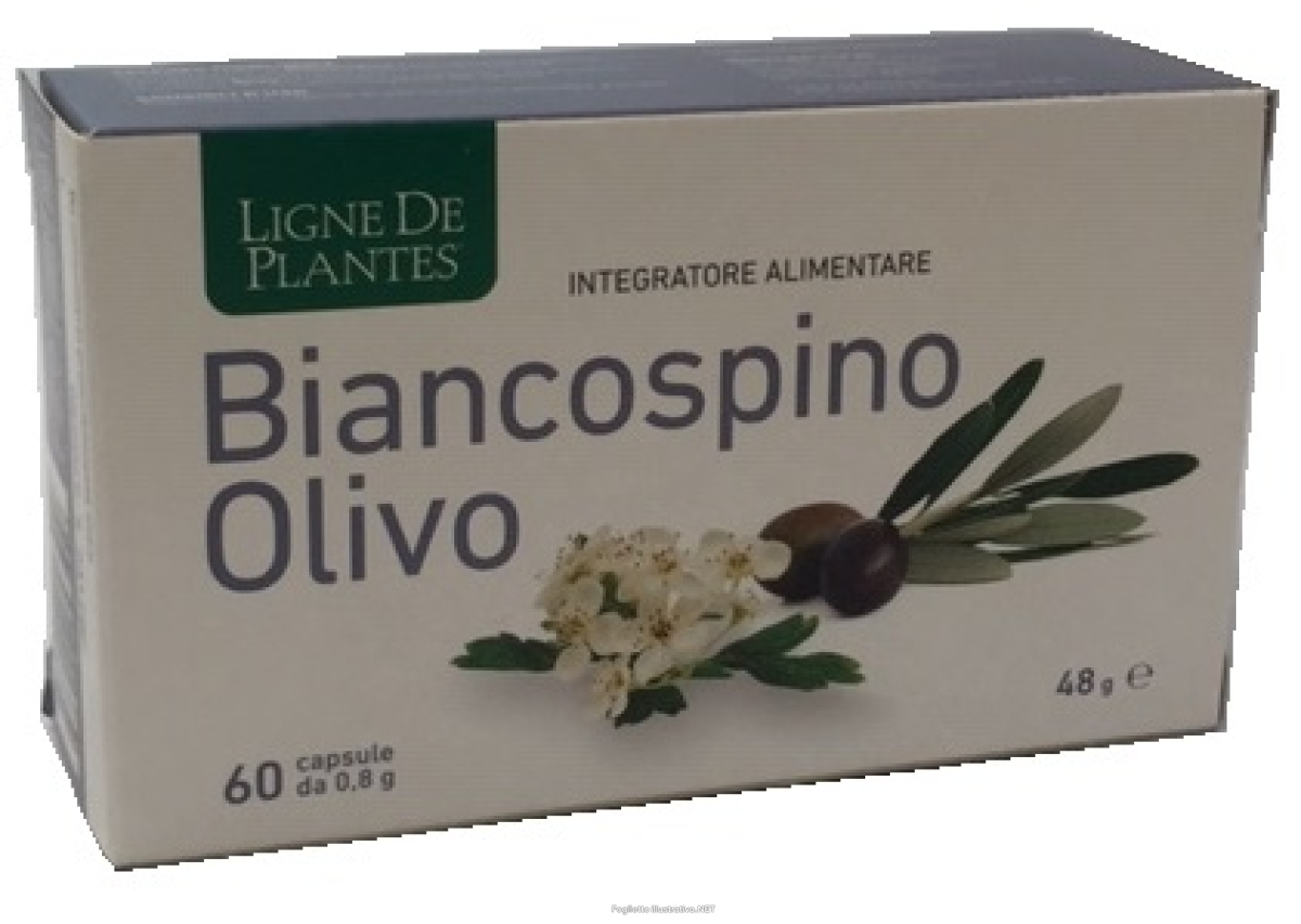 Cerca Offerte di ligne de plantes biancospino olivo 60 capsule e acquista online