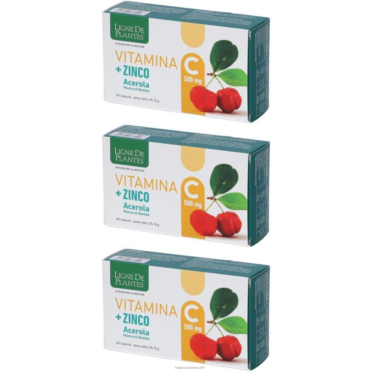 Cerca Offerte di ligne de plantes vitamina c 500 mg + zinco acerola e manna di bambu' 6 e acquista online