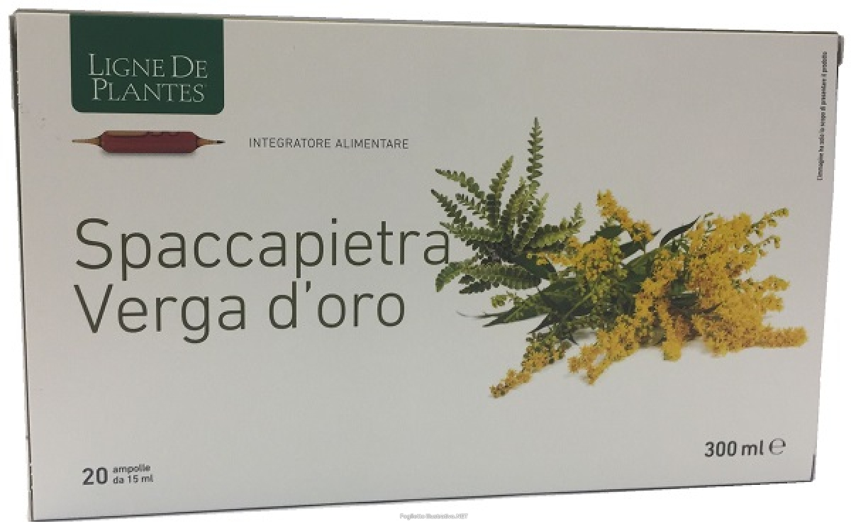 Cerca Offerte di ligne spaccapietra verga 20amp e acquista online