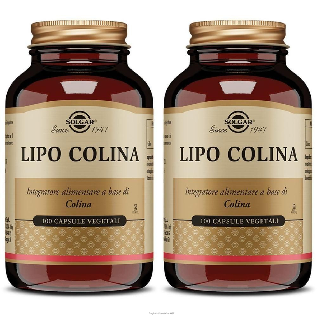 Cerca Offerte di lipo colina capsule vegetali 2x94,8 g e acquista online