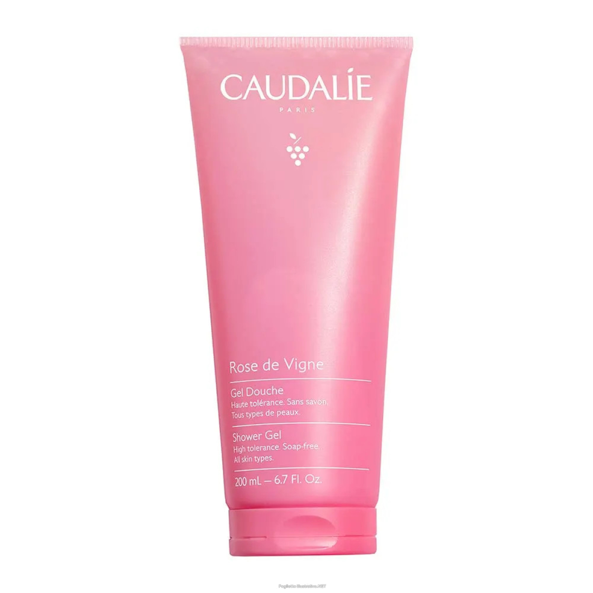 Cerca Offerte di massigen doccia shampoo idratante, 200 ml e acquista online