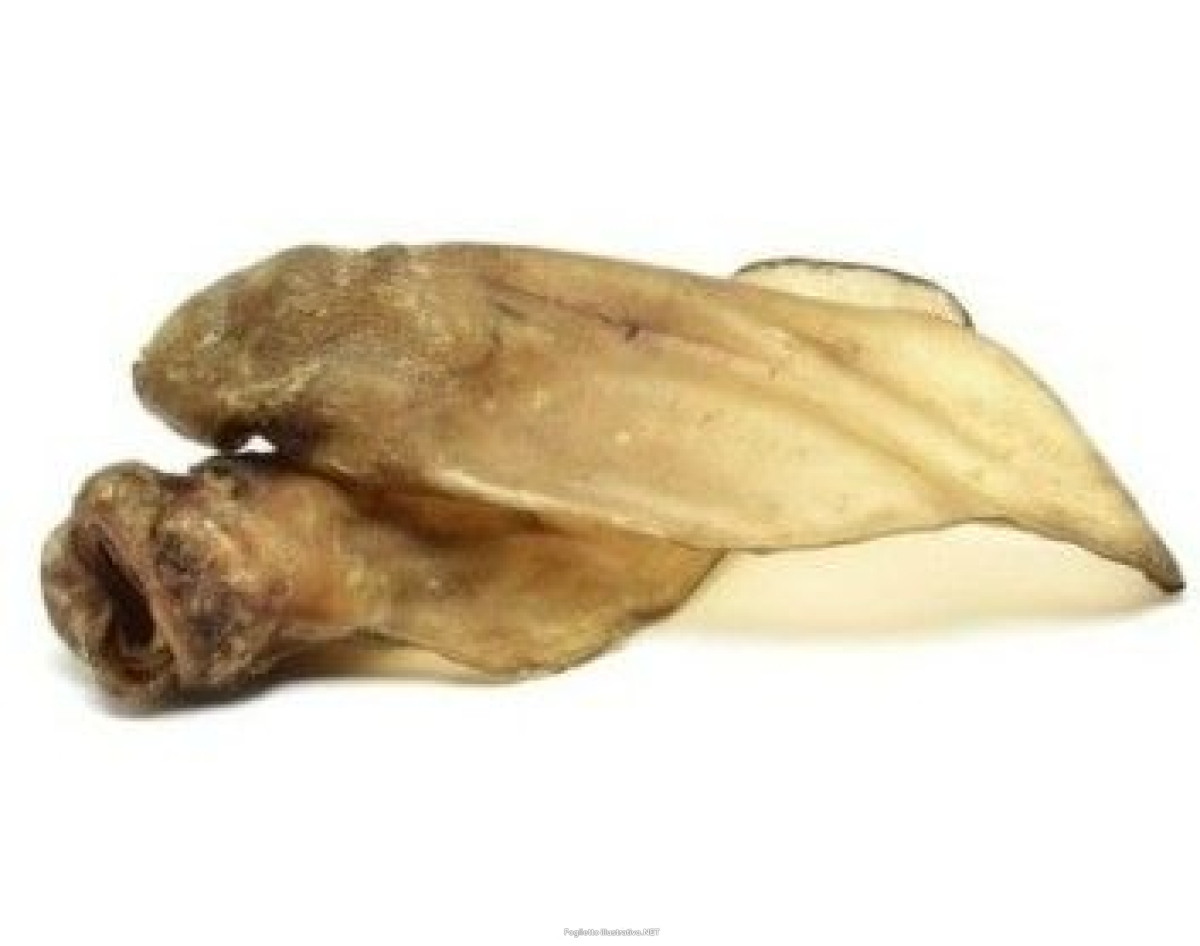 Cerca Offerte di mast orazio butcher cane snack orecchie di manzo 60g e acquista online