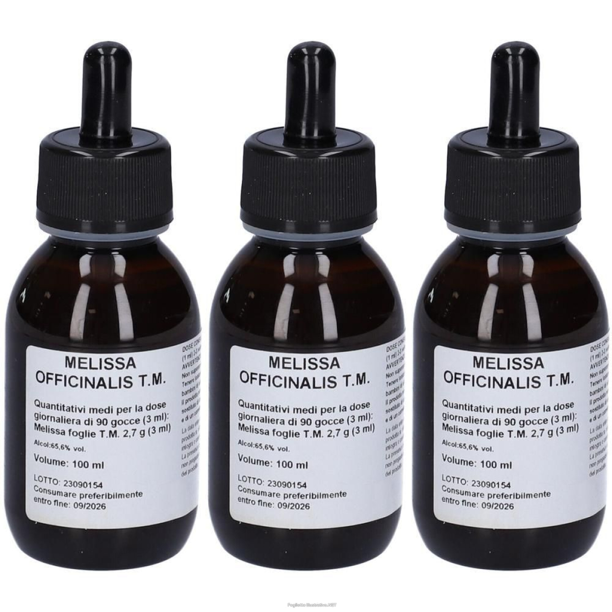 Cerca Offerte di melissa officinalis tintura madre gocce 100ml 3x100 ml e acquista online
