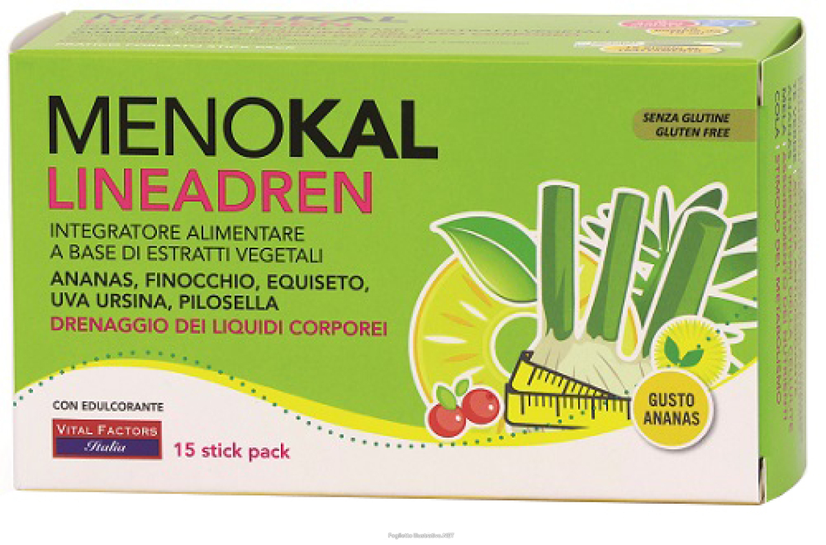 Cerca Offerte di menokal lineadren ananas 15 stick e acquista online
