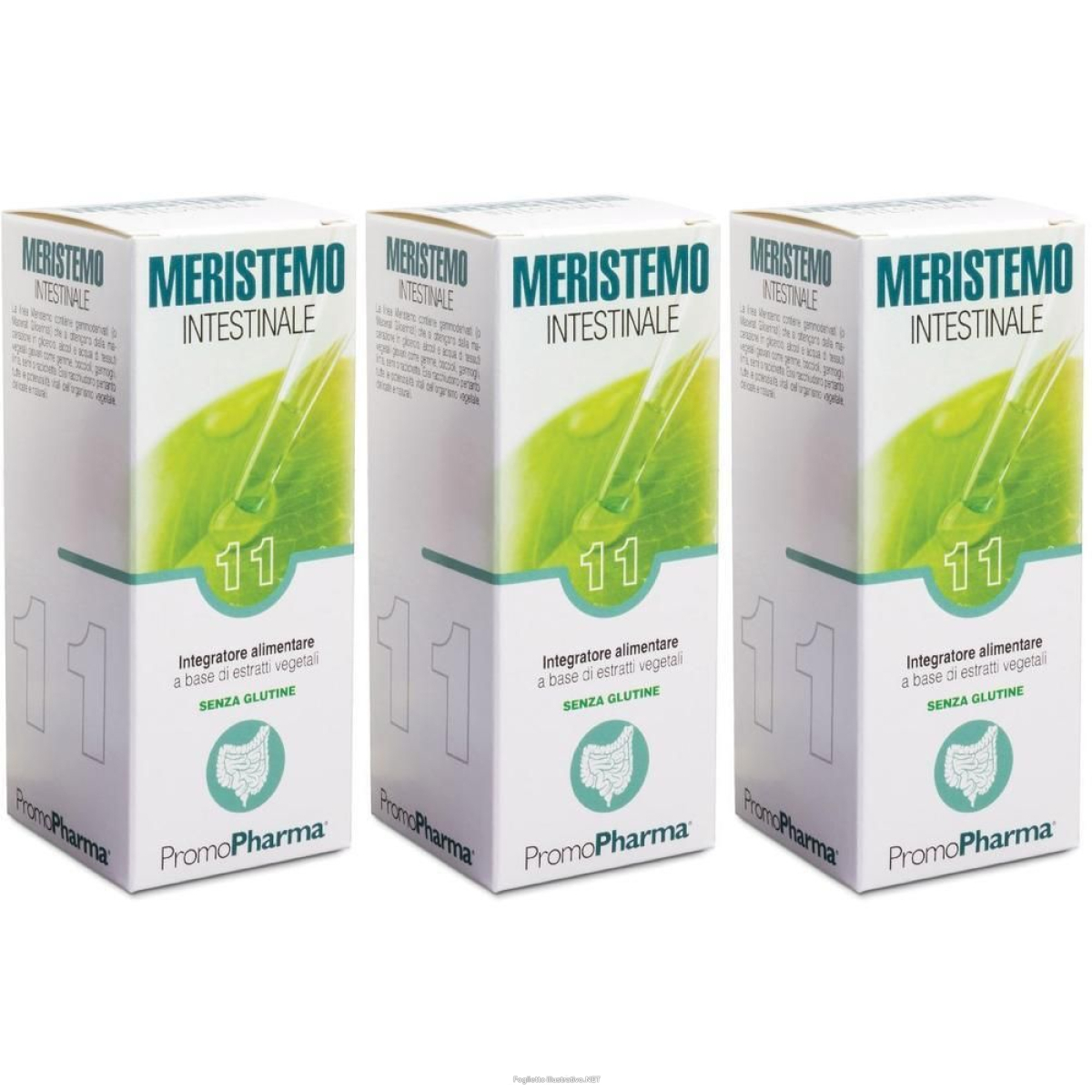 Cerca Offerte di meristemo 11 intestinale 100ml 3x100 ml soluzione orale e acquista online