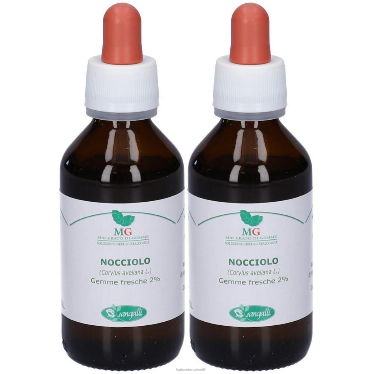 Cerca Offerte di mg nocciolo (corylus avellana) gemme 2x100 ml gocce orali e acquista online