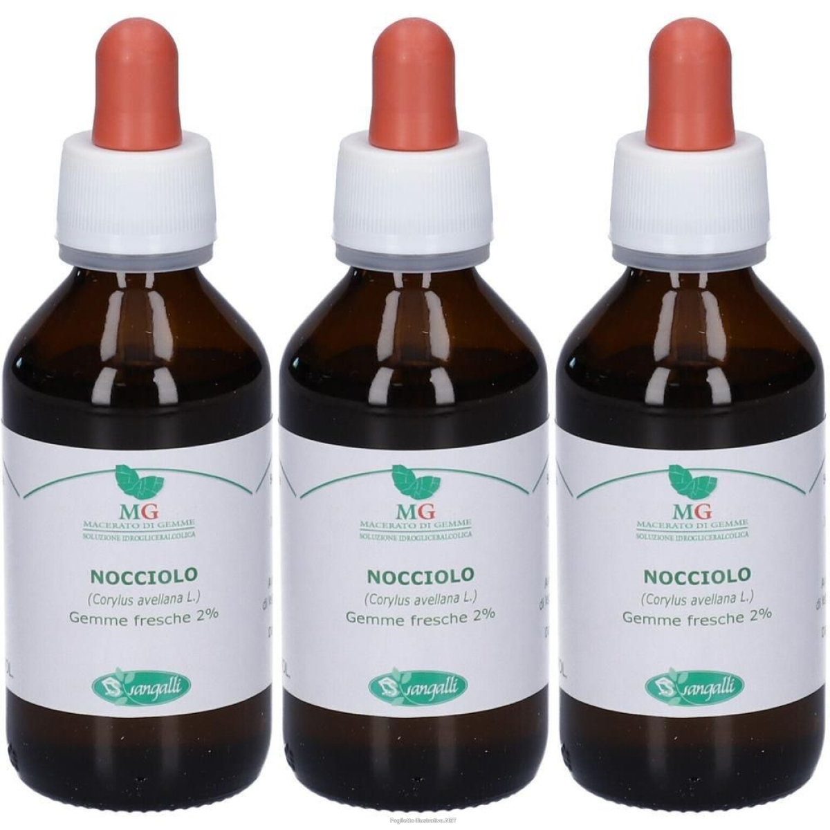 Cerca Offerte di mg nocciolo (corylus avellana) gemme 3x100 ml gocce orali e acquista online