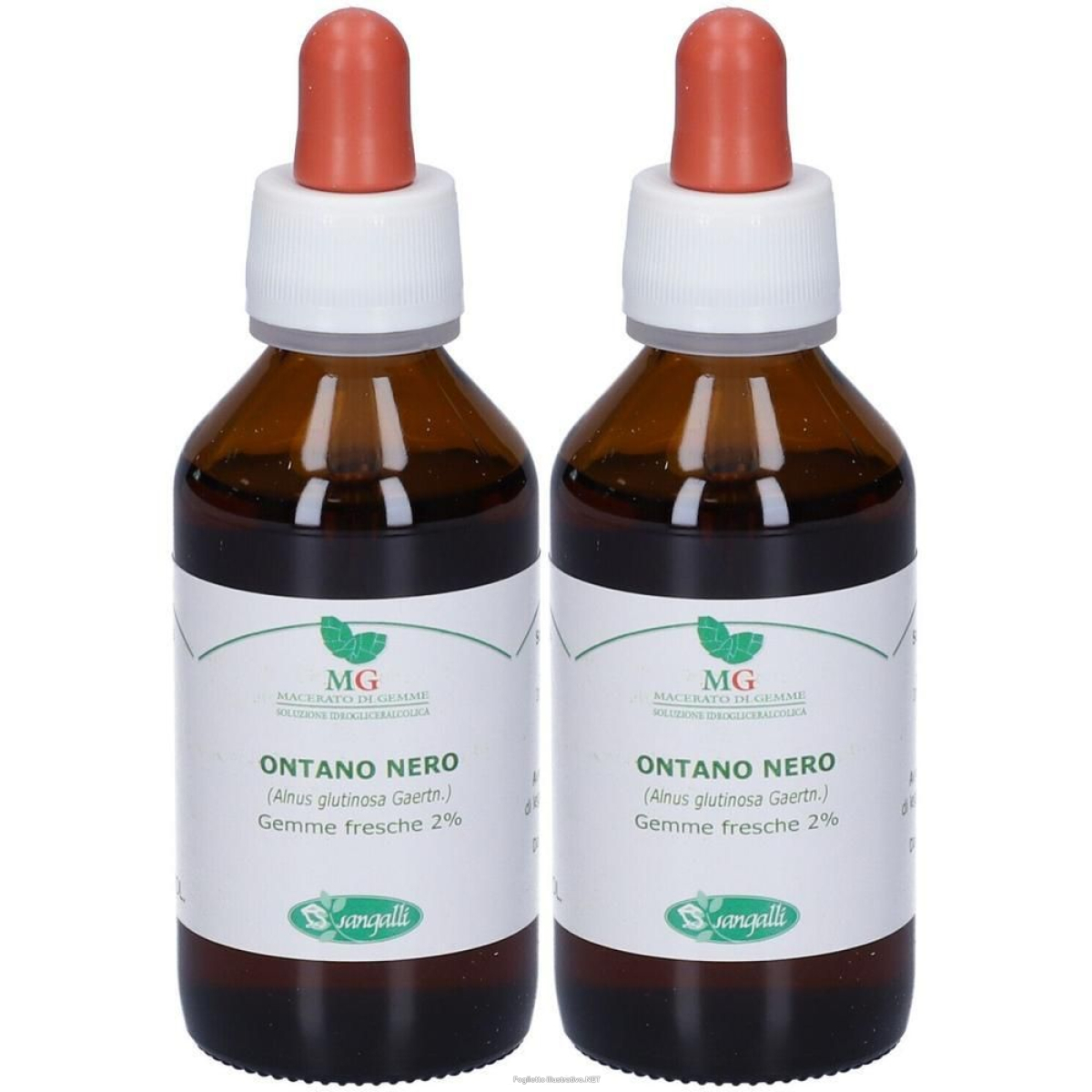 Cerca Offerte di mg ontano nero (alnus glutinosa) gemme 2x100 ml gocce orali e acquista online