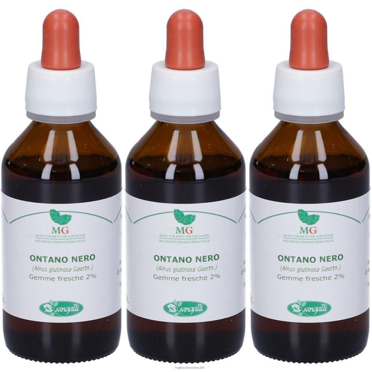 Cerca Offerte di mg ontano nero (alnus glutinosa) gemme 3x100 ml gocce orali e acquista online