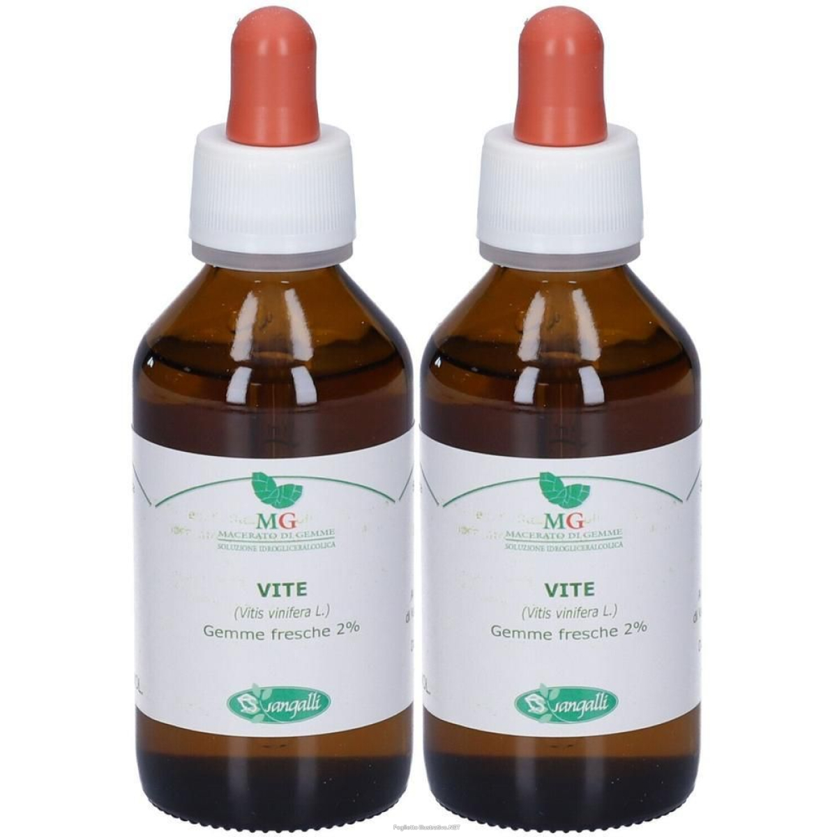 Cerca Offerte di mg vite (vitis vinifera) gemme 2x100 ml gocce orali e acquista online