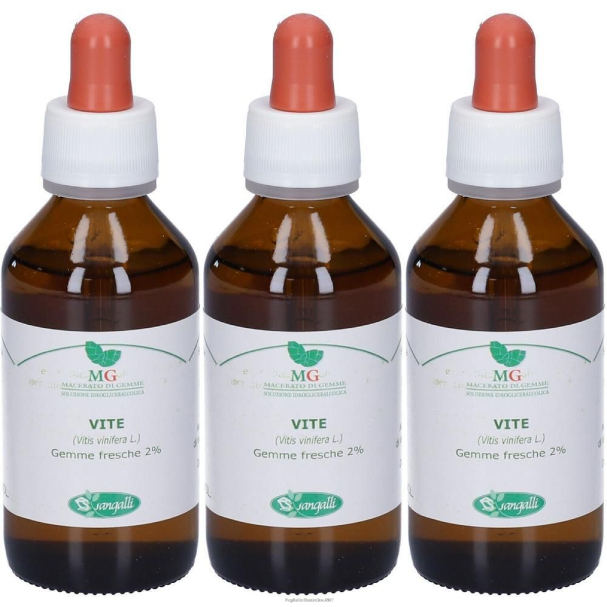 Cerca Offerte di mg vite (vitis vinifera) gemme 3x100 ml gocce orali e acquista online