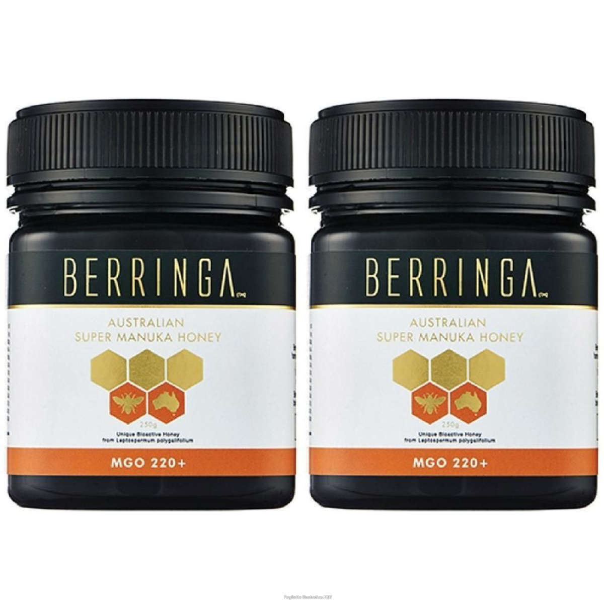 Cerca Offerte di miele di manuka 220 mgo 250 g g e acquista online