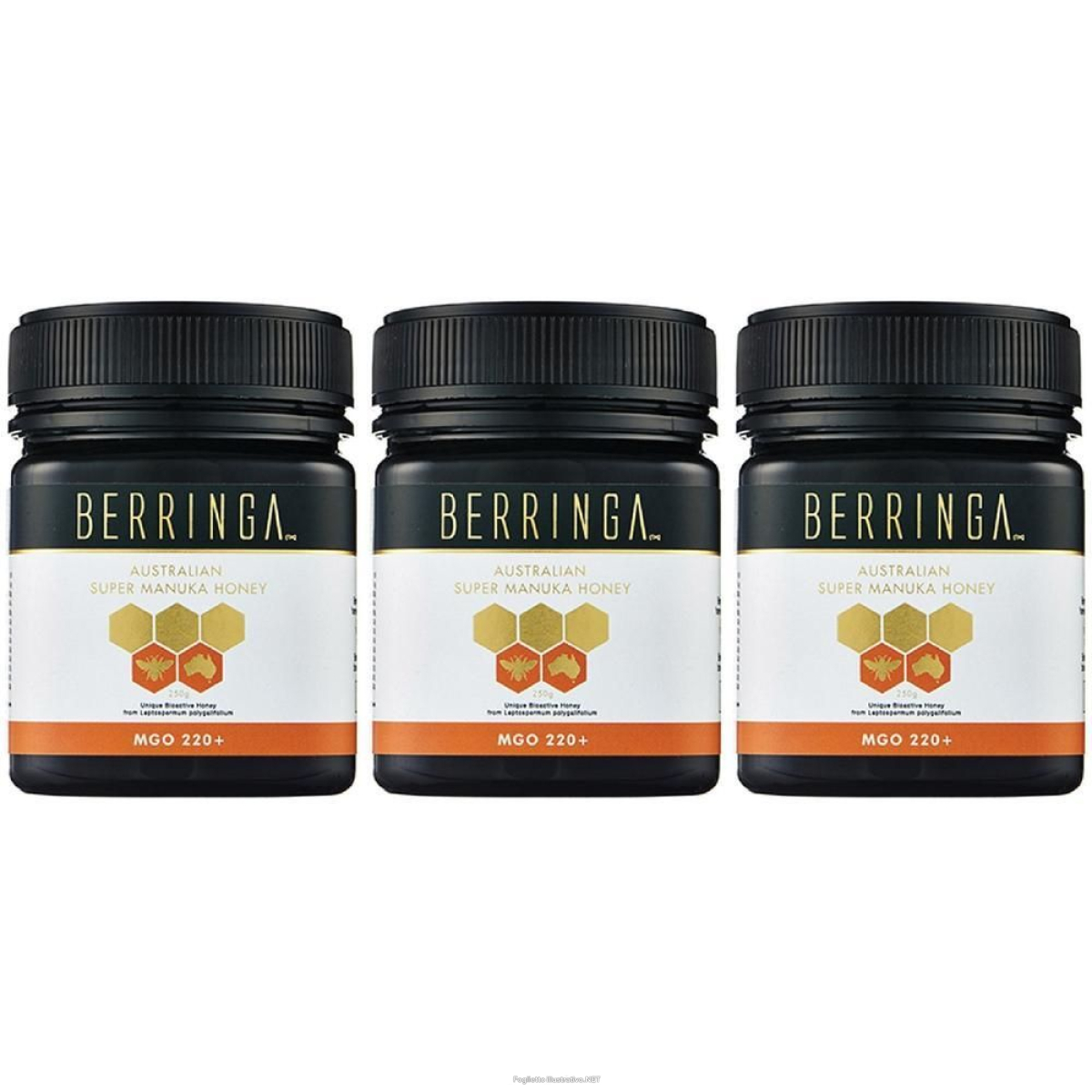Cerca Offerte di miele di manuka 220 mgo 250 g g e acquista online