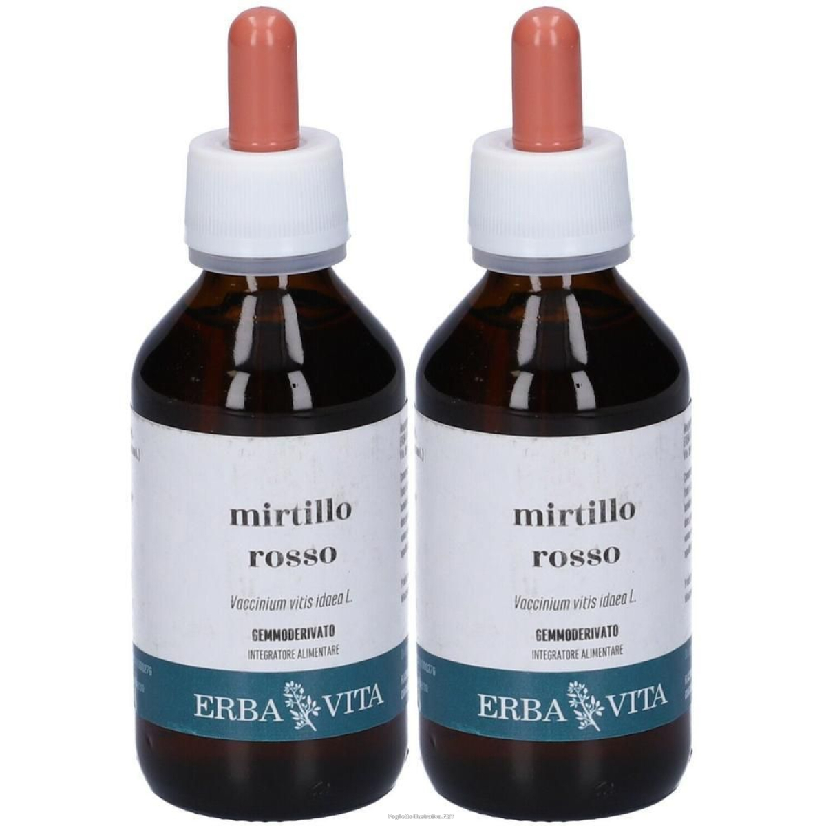 Cerca Offerte di mirtillo rosso gemmoderivato 2x100 ml soluzione orale e acquista online