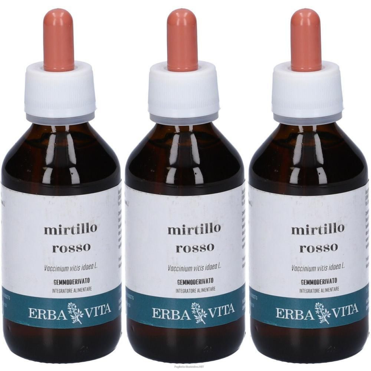 Cerca Offerte di mirtillo rosso gemmoderivato 3x100 ml soluzione orale e acquista online