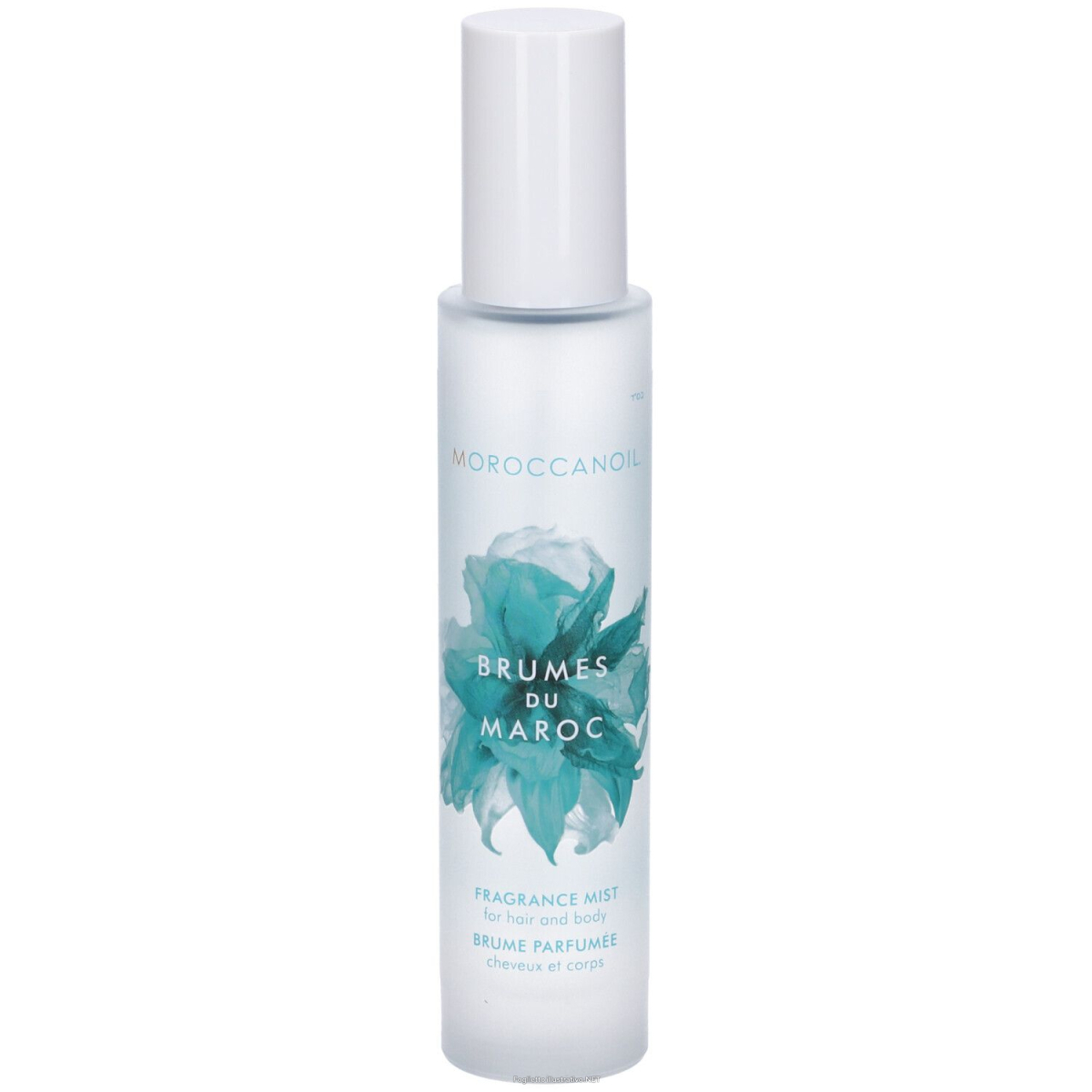 Cerca Offerte di moroccanoil profumo per capelli e corpo 100 ml e acquista online