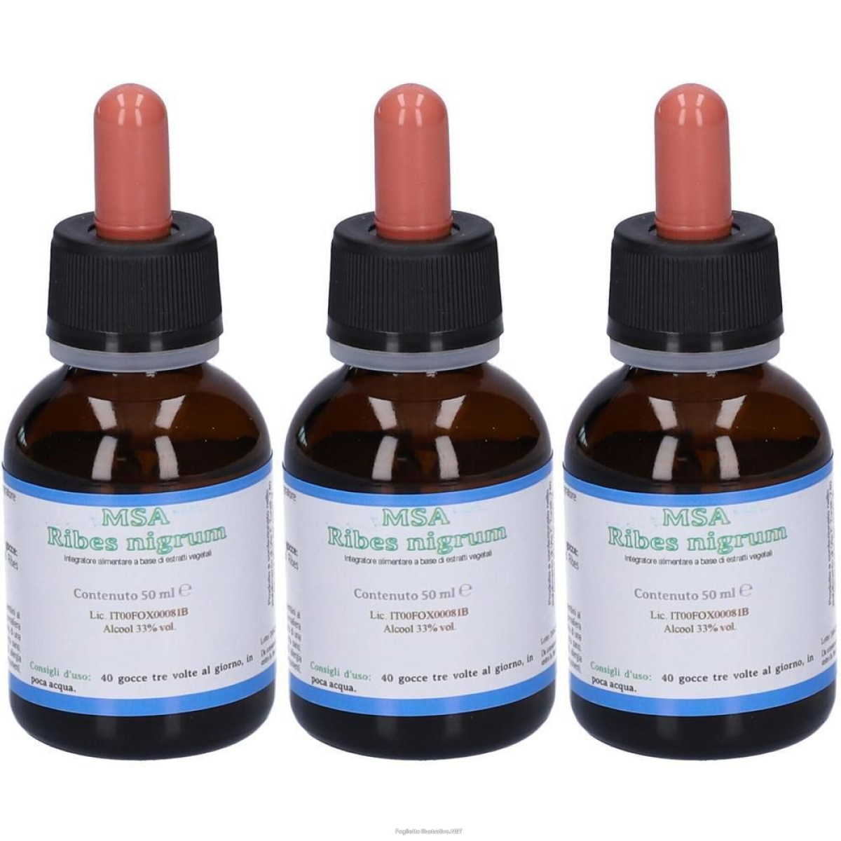 Cerca Offerte di msa ribes nigrum 50 ml 3x50 ml soluzione orale e acquista online