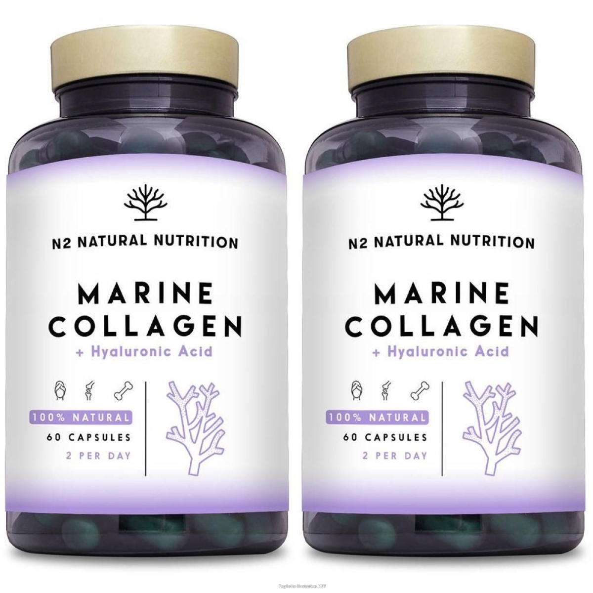 Cerca Offerte di n2 natural nutrition marine collagen 60 capsule 2x42 g e acquista online