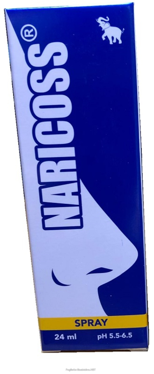 Cerca Offerte di naricoss spray 24ml 949855581 e acquista online