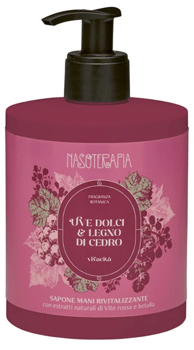 Cerca Offerte di Nasoterapia uve dolci e legno di cedro sapone mani rivitalizzante, 500 ml e acquista online