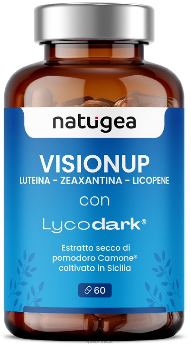 Cerca Offerte di natugea visionup luteina e zeaxantina 60 compresse e acquista online