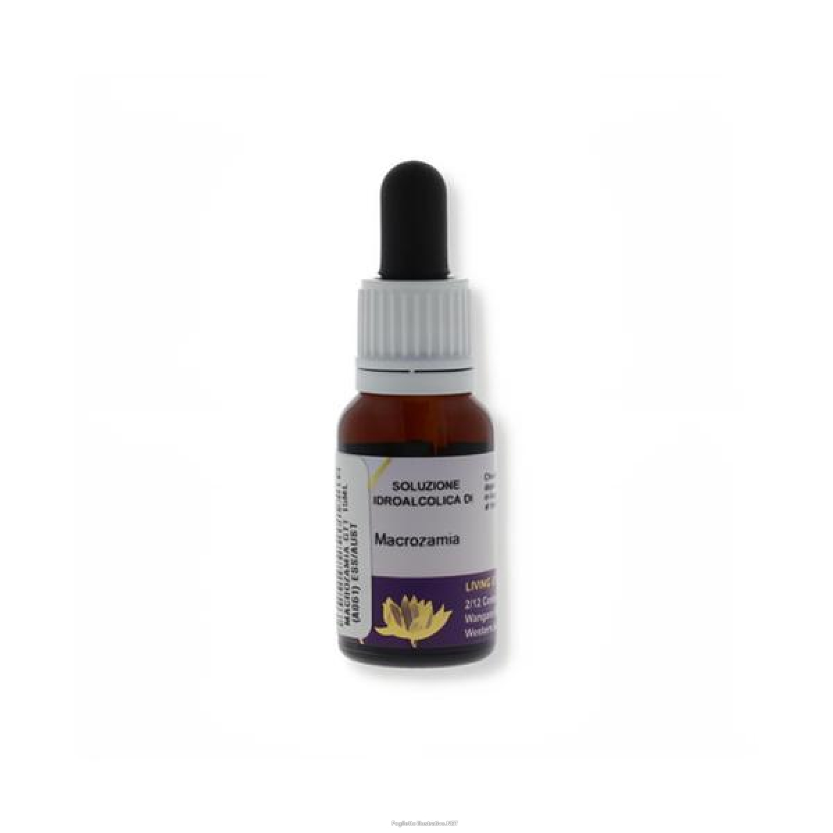 Cerca Offerte di natur macrozamia essenze australiane 15ml e acquista online