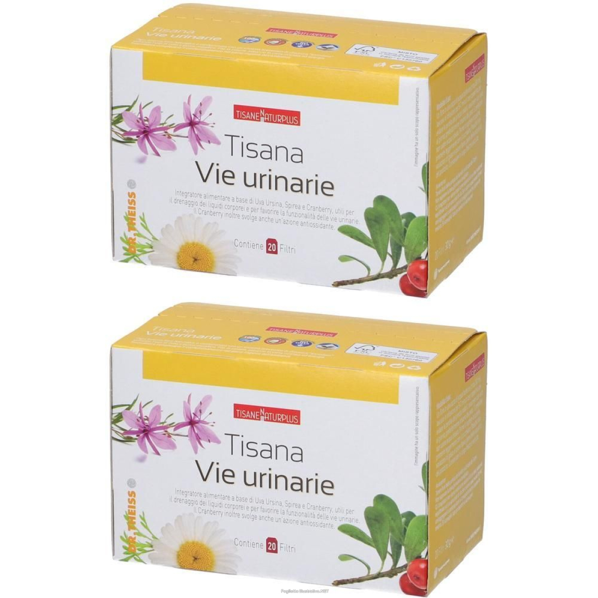 Cerca Offerte di naturplus tisana vie urinarie 2x30 g e acquista online