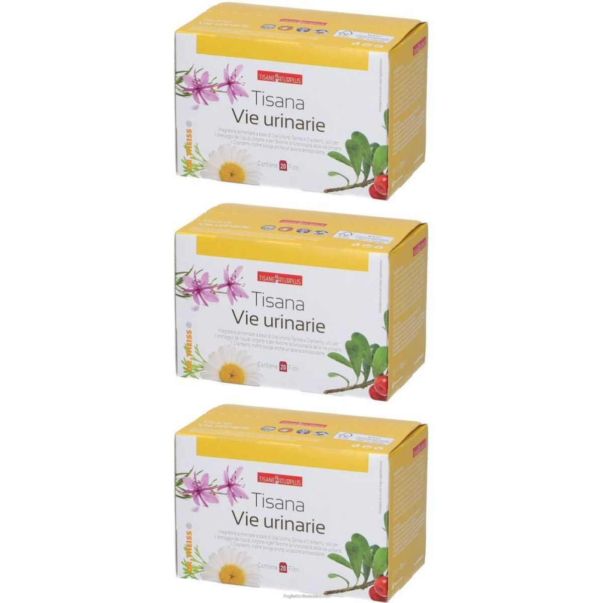 Cerca Offerte di naturplus tisana vie urinarie 3x30 g e acquista online