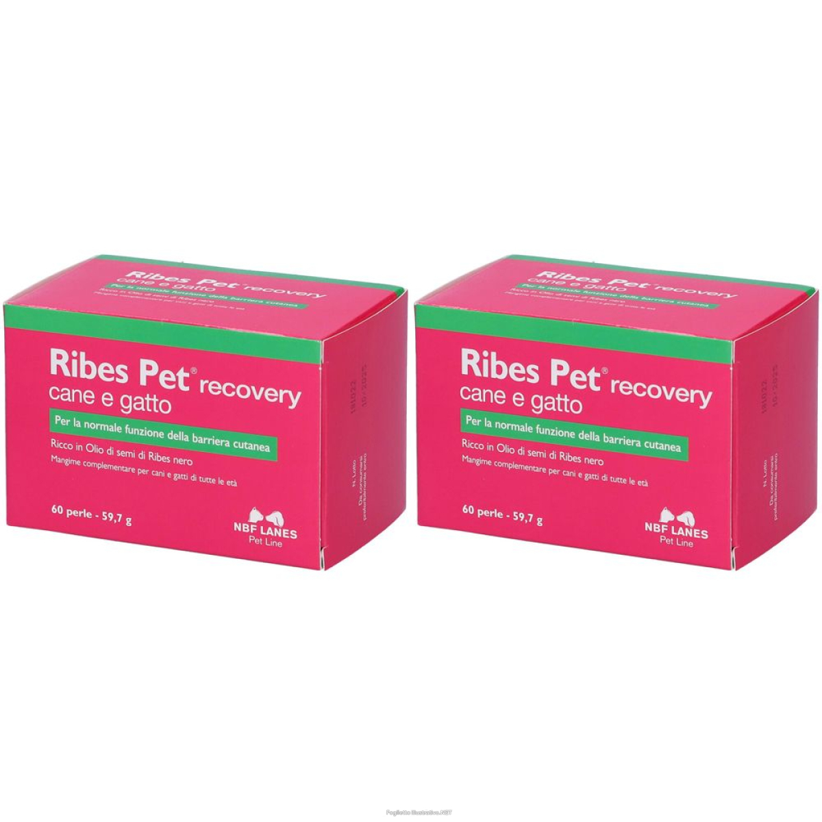 Cerca Offerte di nbf lanes ribes pet recovry cane e gatto perle set da 2 2x60 pz compre e acquista online