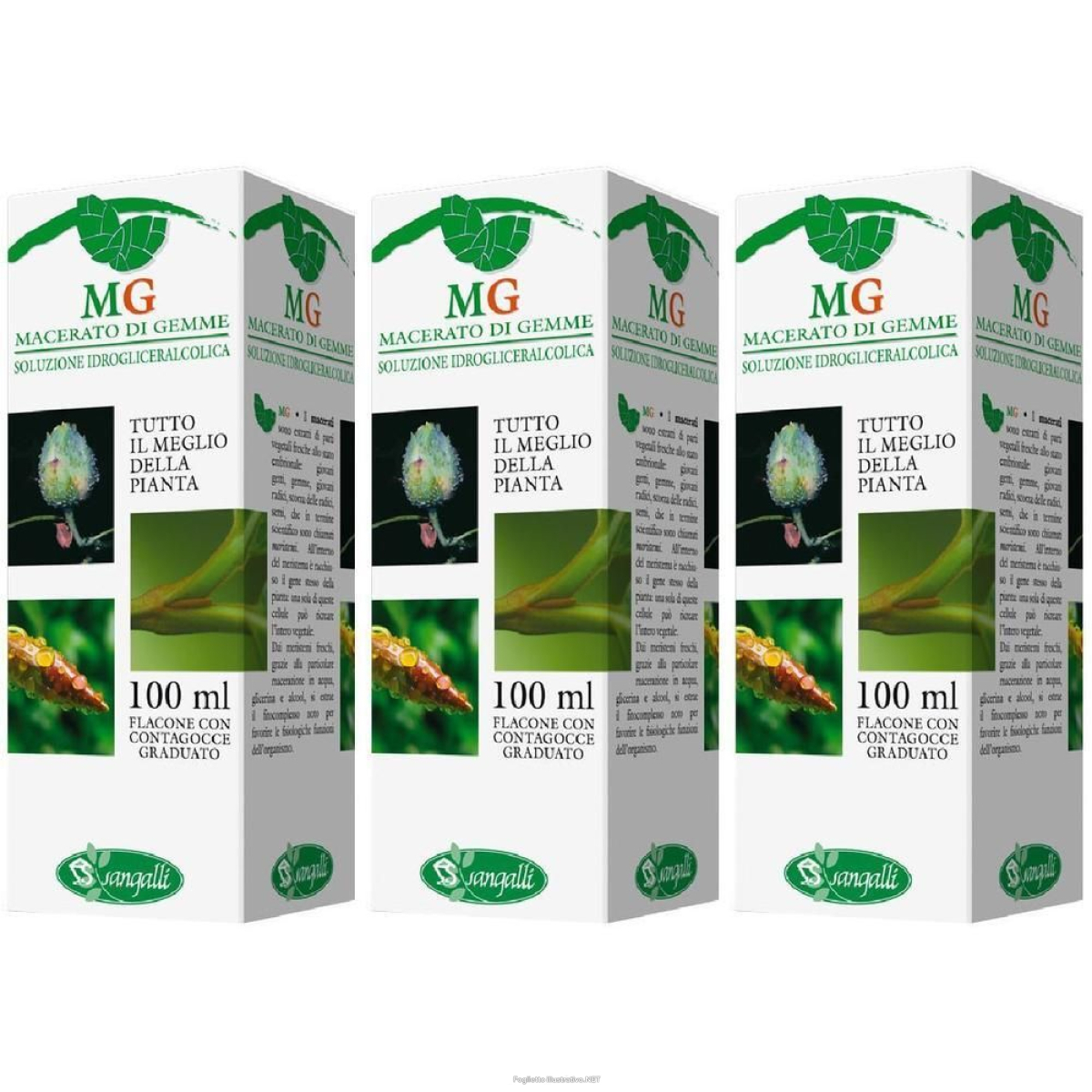 Cerca Offerte di Noce Macerato Glicerico 100 ml 3x100 ml Soluzione Orale e acquista online