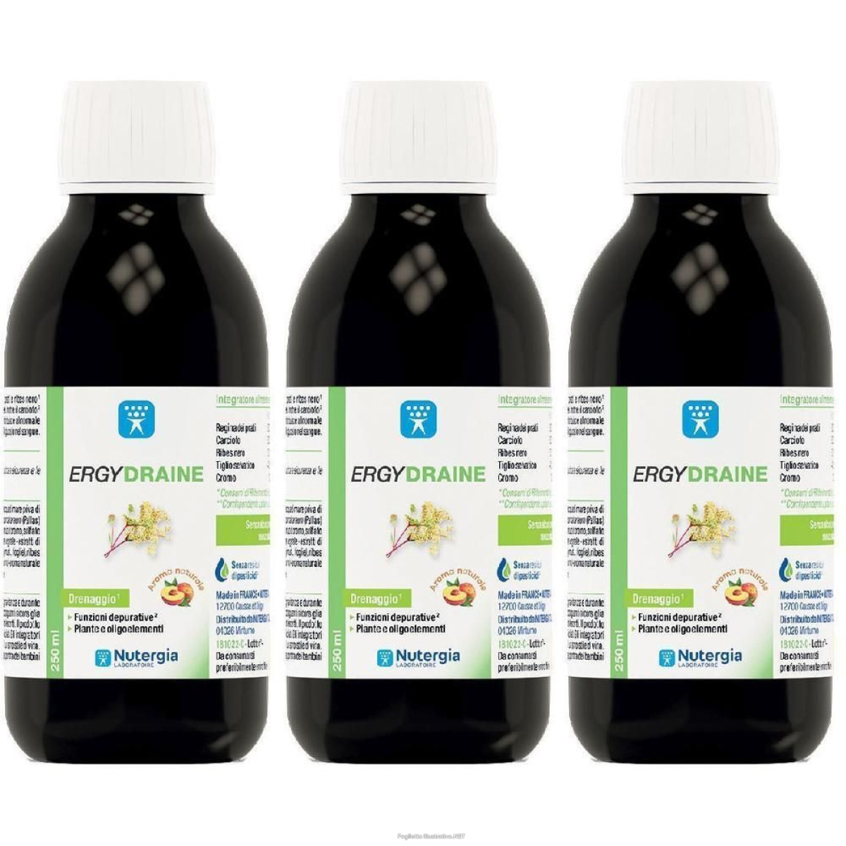 Cerca Offerte di nutergia ergydraine 3x250 ml soluzione orale e acquista online