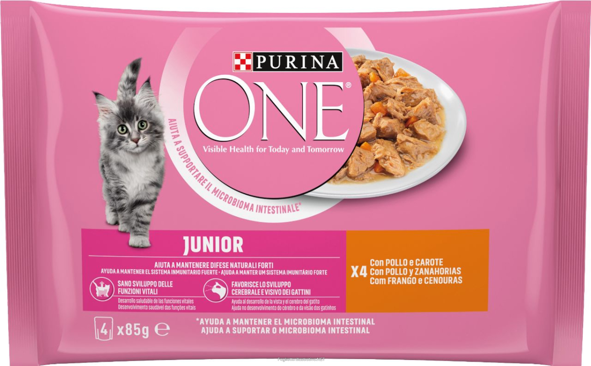 Cerca Offerte di nutri+ crea express - creatina creapure con maltodestrina 500 g polver e acquista online