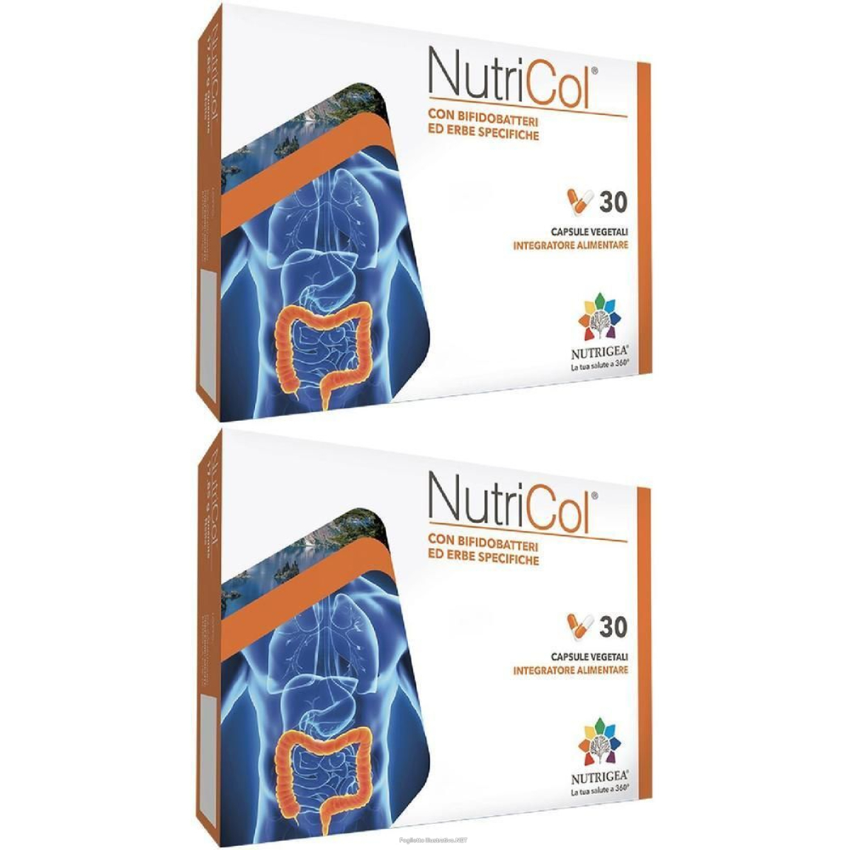 Cerca Offerte di nutricol 30 capsule vegetali 2x30 pz e acquista online