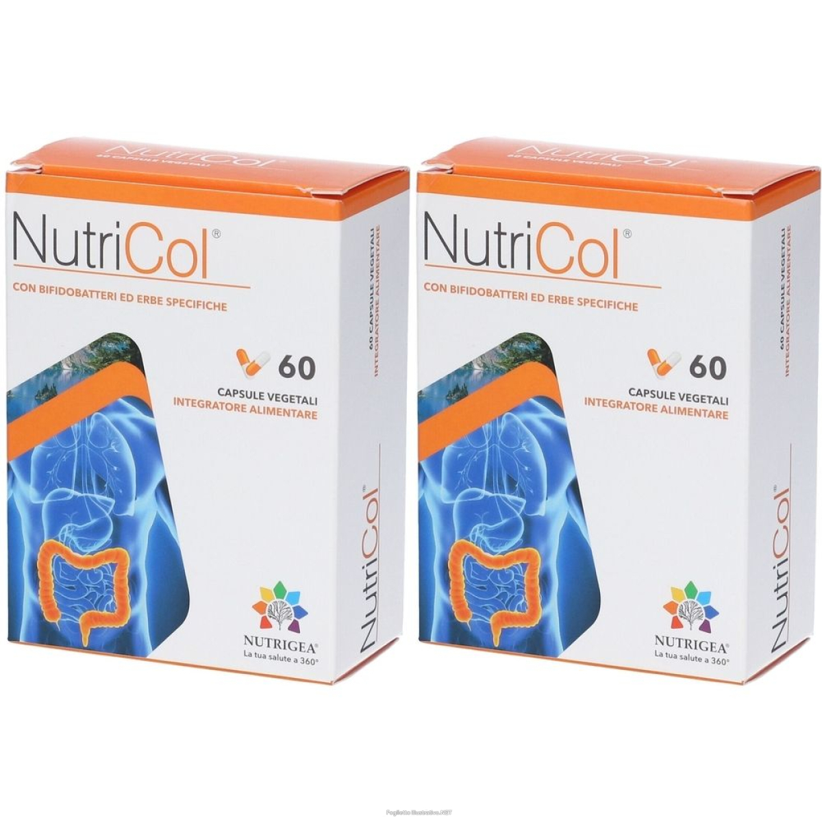Cerca Offerte di nutricol set da 2 2x60 pz capsule e acquista online
