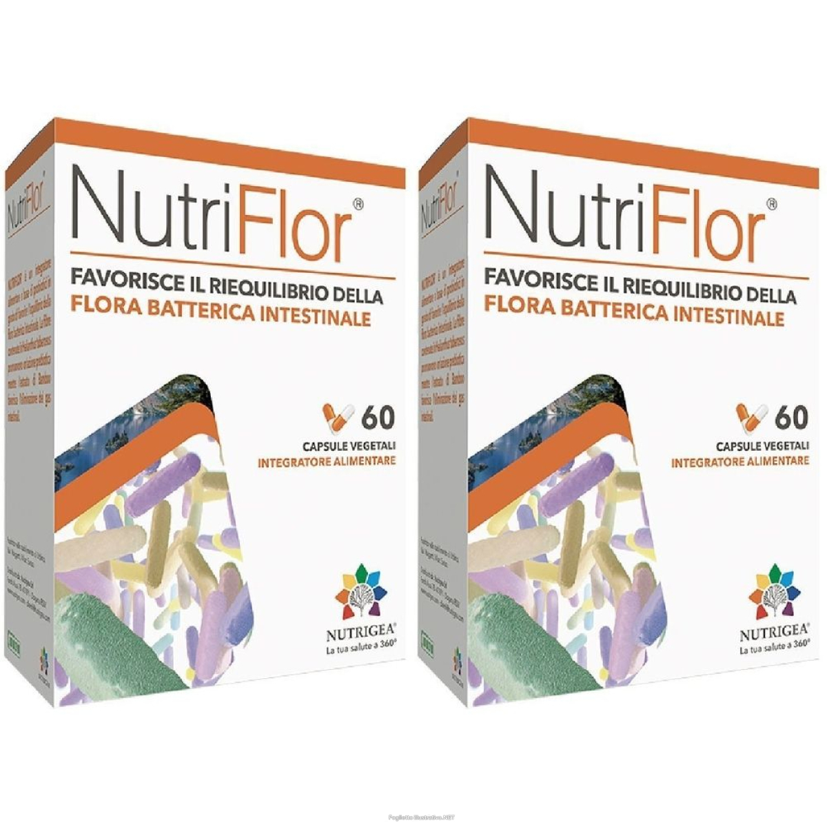 Cerca Offerte di nutriflor® 60 capsule vegetali set da 2 2x60 pz e acquista online