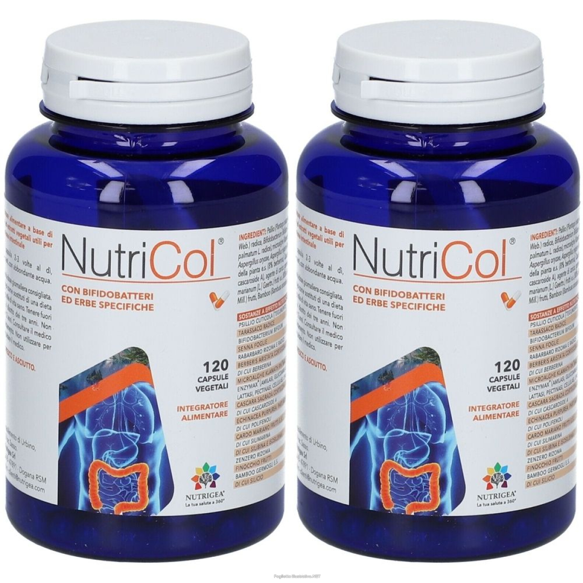 Cerca Offerte di nutrigea nutricol® 120 set da 2 2x71,4 g capsule e acquista online
