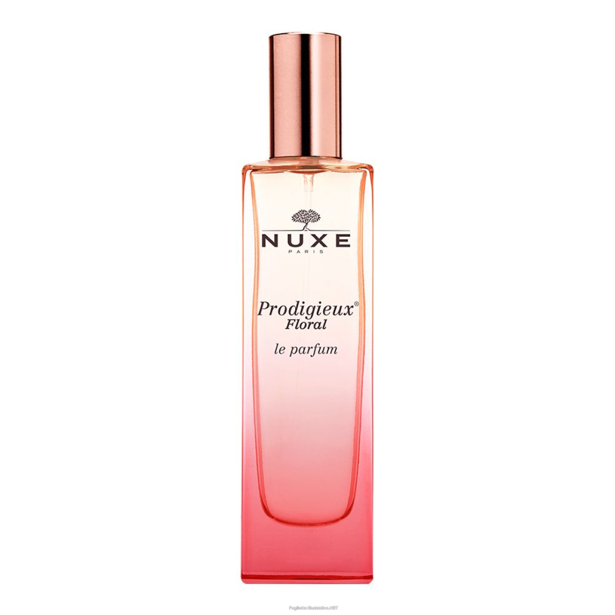Cerca Offerte di nuxe profumo donna prod floral 50 ml spray e acquista online