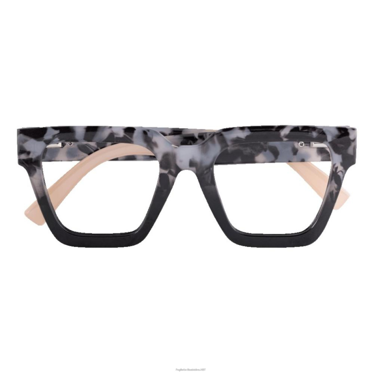 Cerca Offerte di occhiale da lettura twins platinum etna nero +2,00 e acquista online