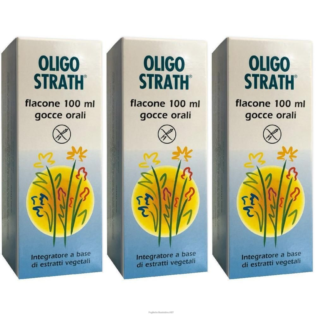 Cerca Offerte di oligostrath 100 ml 3x100 ml soluzione orale e acquista online