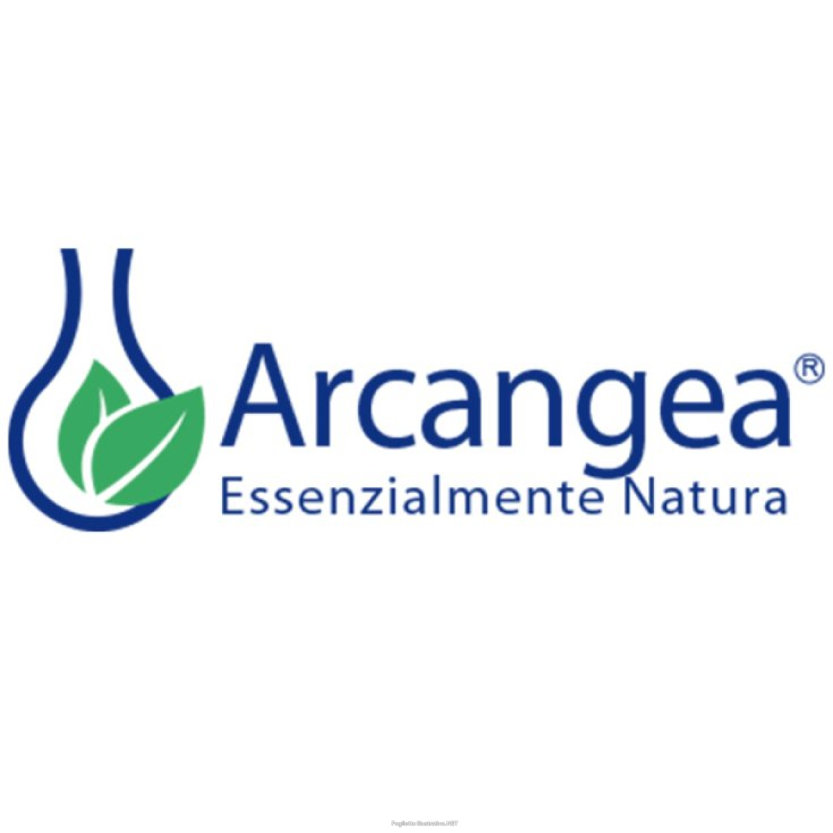 Cerca Offerte di olio bakuchi bio 30ml acn e acquista online