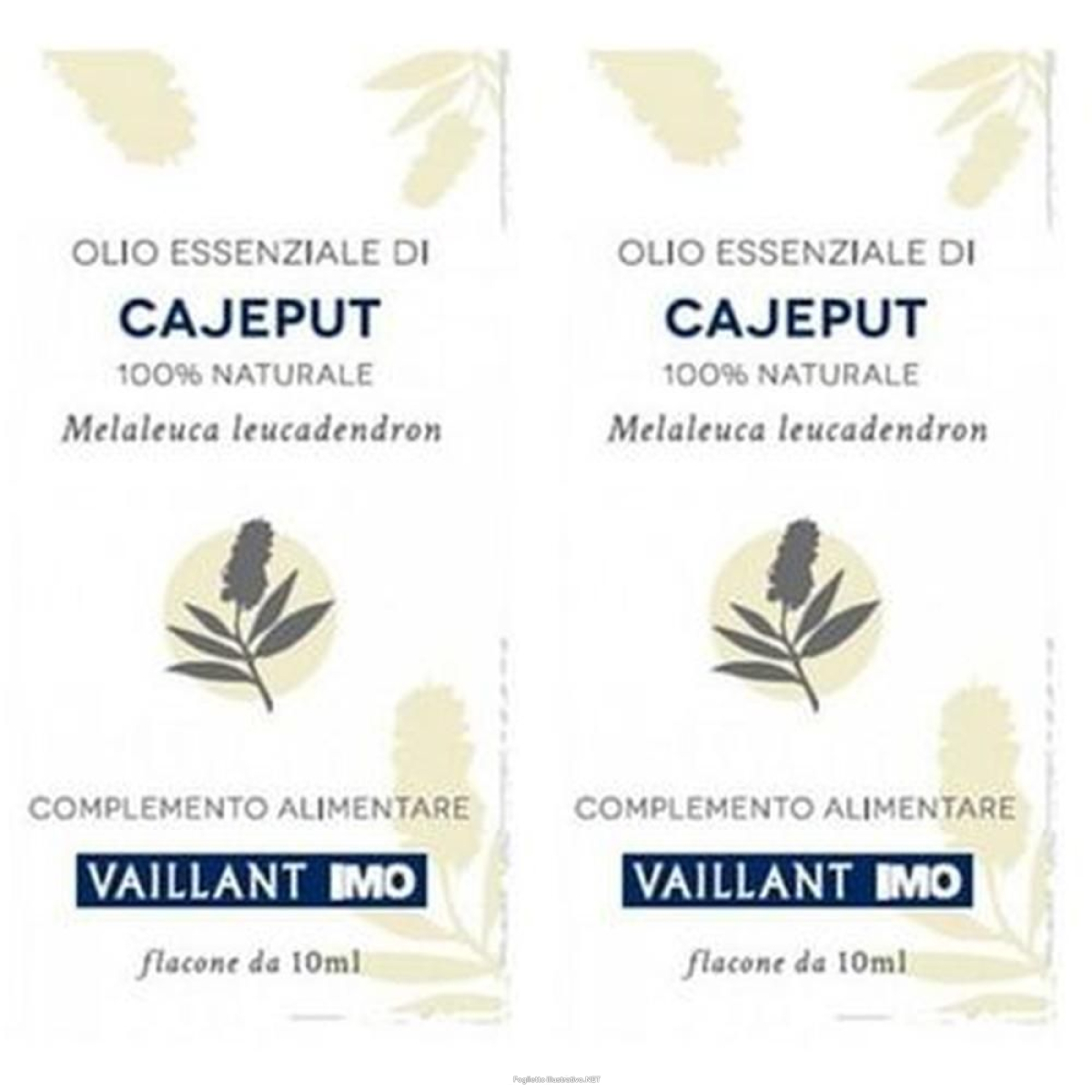 Cerca Offerte di olio essenziale vaillant cajeput 2x10 ml essenziale e acquista online