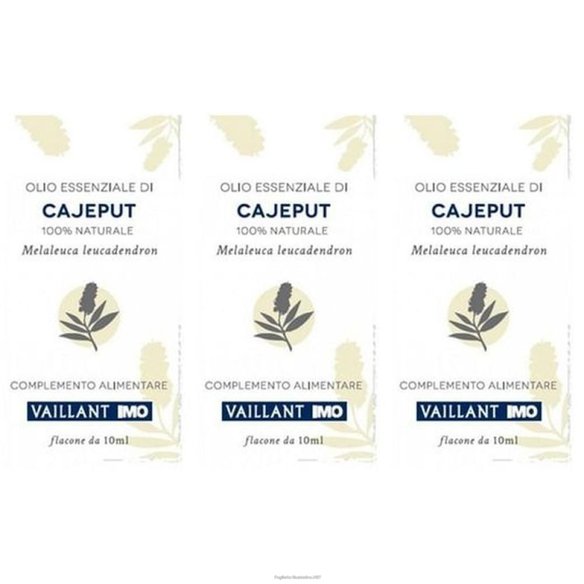 Cerca Offerte di olio essenziale vaillant cajeput 3x10 ml essenziale e acquista online
