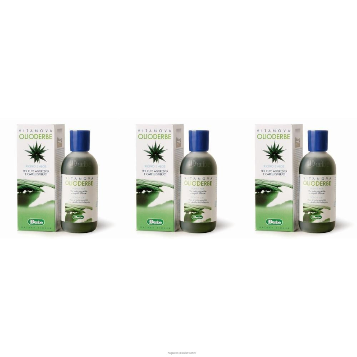 Cerca Offerte di olioderbe aloe 200 ml 3x200 ml olio e acquista online