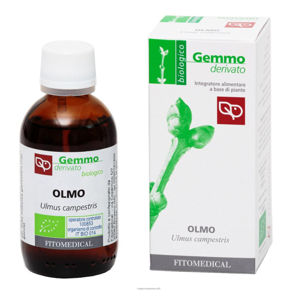 Cerca Offerte di olmo macerato glicerico 50 ml bio e acquista online