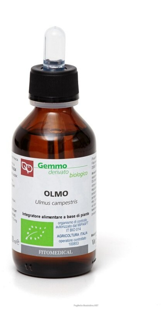 Cerca Offerte di olmo macerato glicerinato bio 100 ml e acquista online